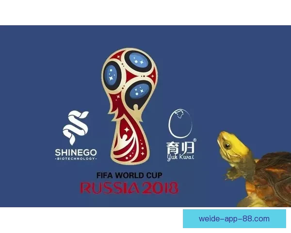 世界杯竞猜在线平台全新攻略助你轻松赢取赛事大奖