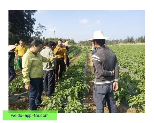 精准分析与实战经验助力体育竞猜稳稳赚，专家推荐引领投资方向